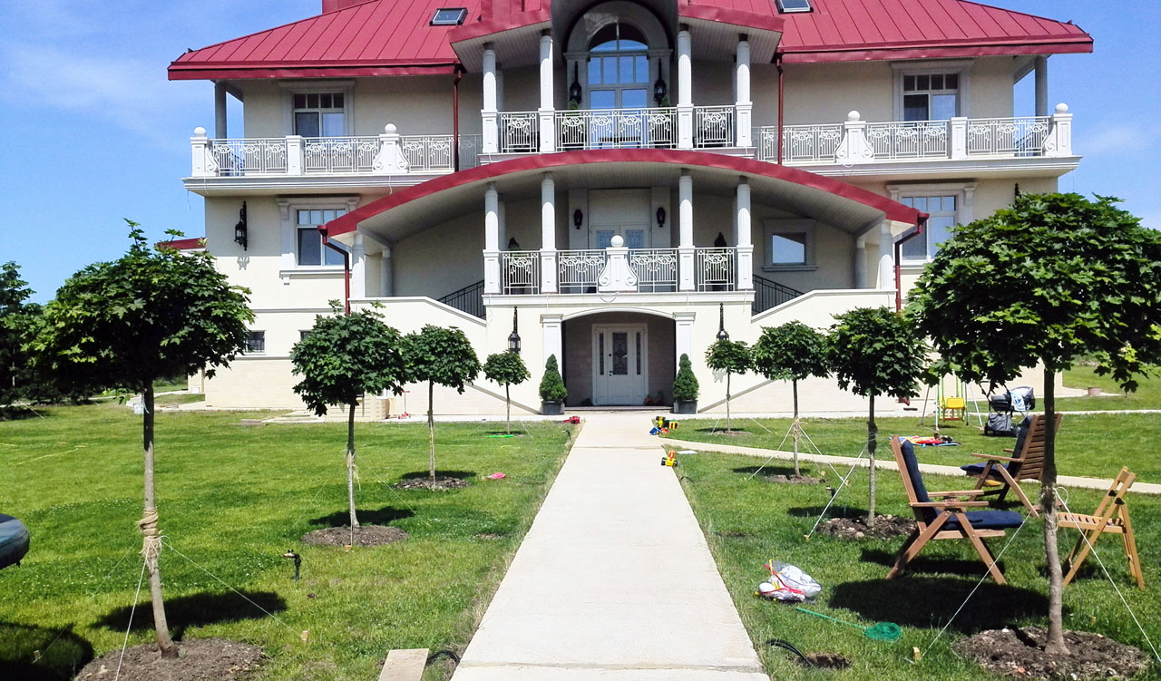 аллея клен глобозум