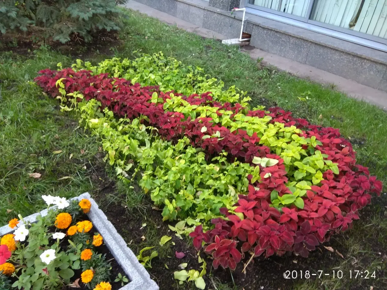 Уход за садом GreenMich — кадр 14