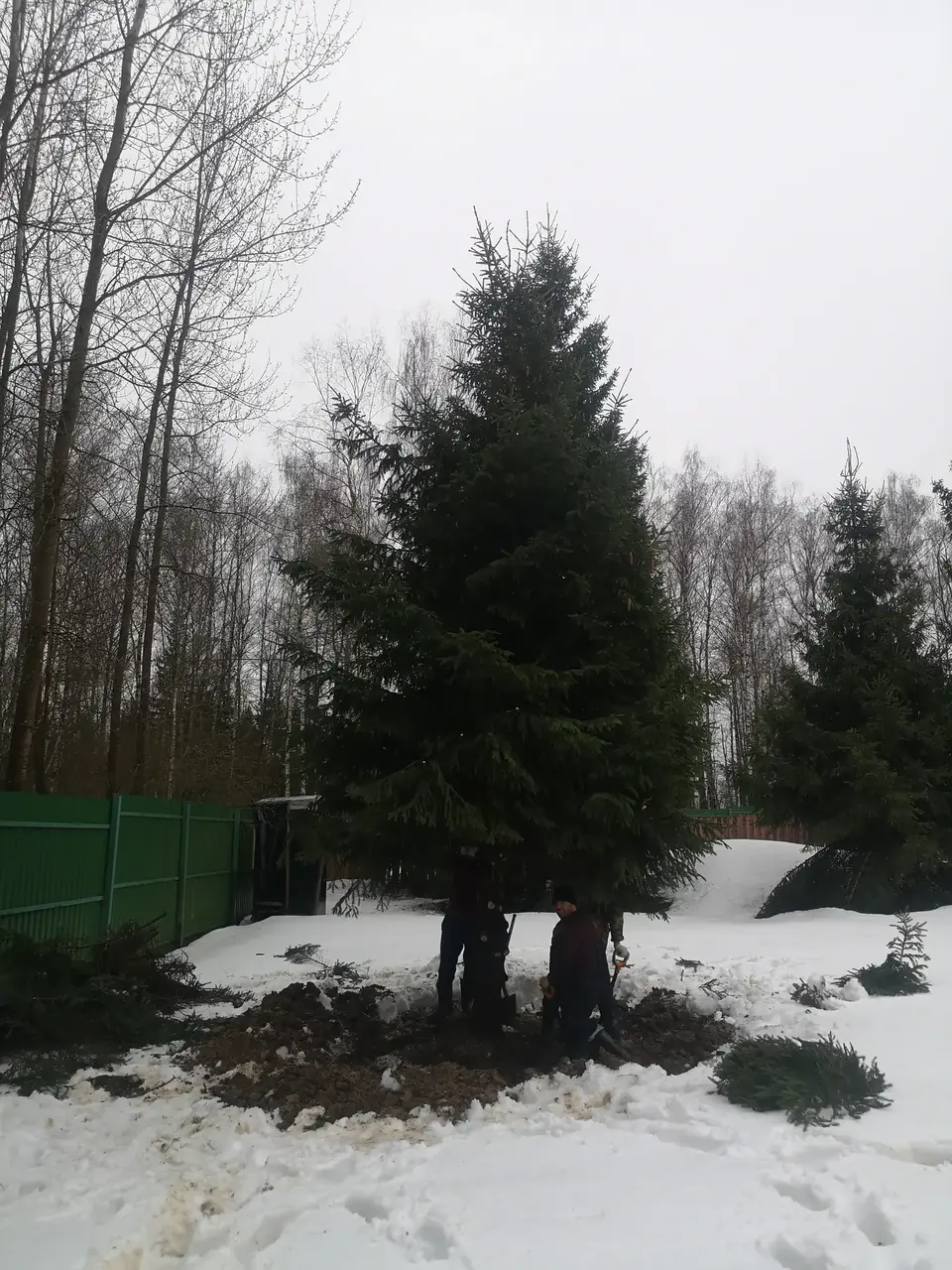 Реализация благоустройства GreenMich — кадр 26